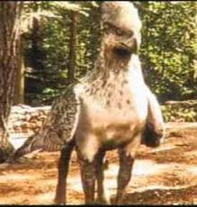 http://t1.gstatic.com/images?q=tbn:hOyxnGUmCUtYHM:http://www.hp-lexicon.org/images/film/pa/buckbeak-full-pa.jpg