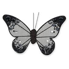 black butterflies