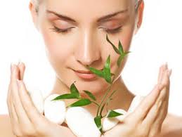Maria Adam Naturprodukte: - 7f2ea998b9