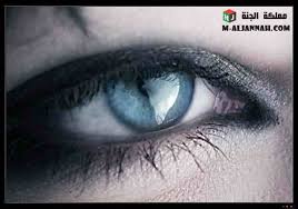http://t1.gstatic.com/images?q=tbn:i8CxJ0BX6UKS8M:http://vb.arabseyes.com/uploaded/129613_1203071617.jpg