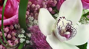 flower varieties