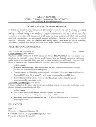 example of a job resume