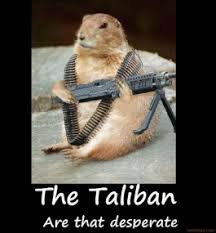 Funny Pics (LOLZ A LOTZ) The-taliban-funny-iraq-islam-taliban-war-military-gun-demotivational-poster-1266782053