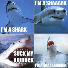 real sharks