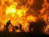 foc