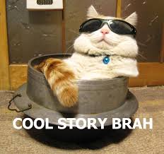 http://t1.gstatic.com/images?q=tbn:iSEx1ZGwJnkOPM:catmacros.files.wordpress.com/2009/07/cool_story_brah_cat.jpg