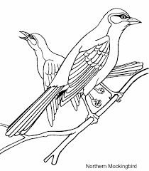 printable bird pictures