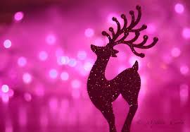 pink christmas background