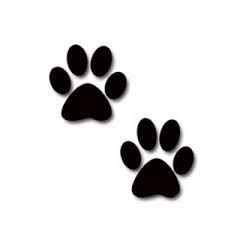 paw prints