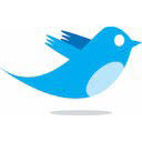 twitter link