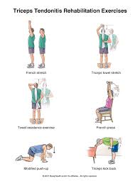 upper back stretches