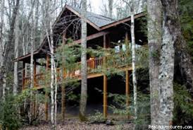 Romantic Log Cabin In Woods