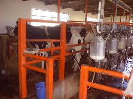 dairy farm