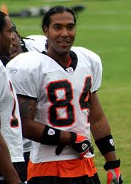 Houshmandzadeh loves and hates