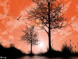 Ver imagem em tamanho real