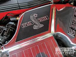 2008 shelby cobra pictures