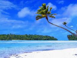 tropical beach backgrounds