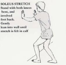 Gastroc Stretch, Soleus