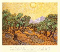 pictures olive trees