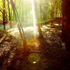 Childish Gambino - Camp (2011)