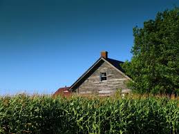 обои на рабочий стол природа