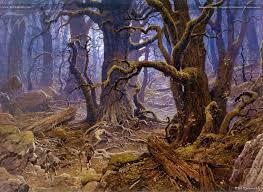 http://t1.gstatic.com/images?q=tbn:ktIZl3_WBaHwMM:http://img-fan.theonering.net/rolozo/images/nasmith/TN-Fangorn_Forest.jpg