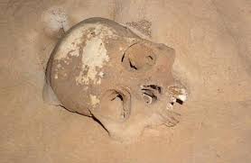 maya sacrifices