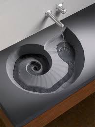 nautilus fossils