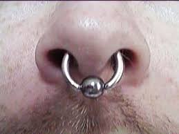 septum