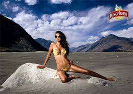 ASMY 2009 calendar launch