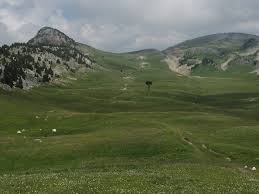 http://t1.gstatic.com/images?q=tbn:lbj1la0_f3ezZM:http://www.bivouak.net/album_photos/p/Plaine_de_la_Queyrie_8968.jpg