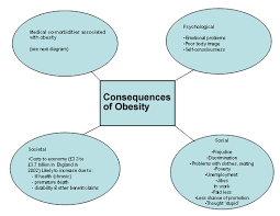 effects of obesity