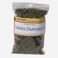 The salvia ban wagon that I