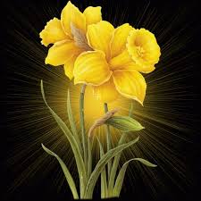 animated flower wallpaper