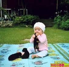 funny puppies