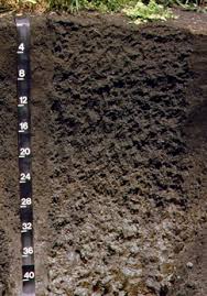 external image IL2.jpg