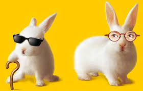 images?q=tbn:mWsJbgtPklAIGM:<a href=