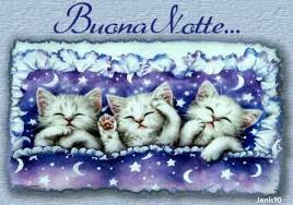 Notte