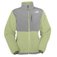 the north face