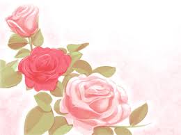 roses photos