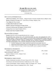 cv example