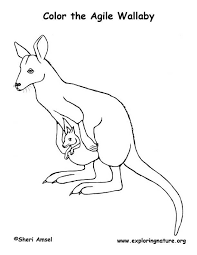 mammal coloring pictures