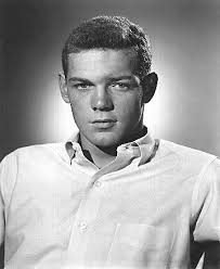 James MacArthur.
