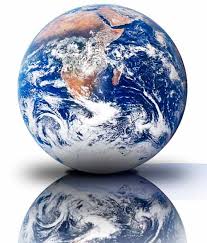 external image ecology.jpg