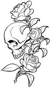 how to draw skulls