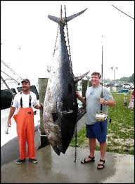 biggest tuna fish