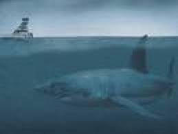 monster shark pictures