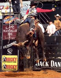 bucking bulls