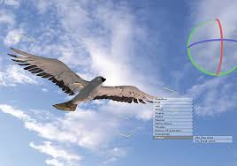 animated bird pictures
