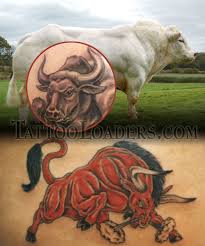 bull tattoo design